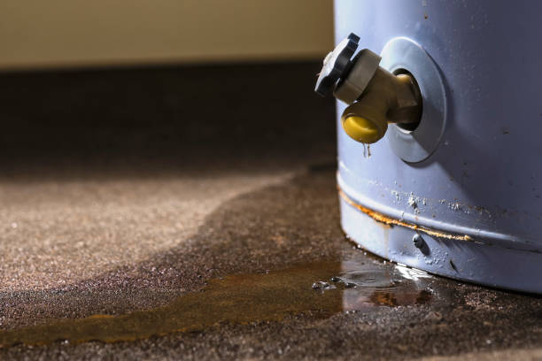Best Residential water damage restoration  in Murphys, CA