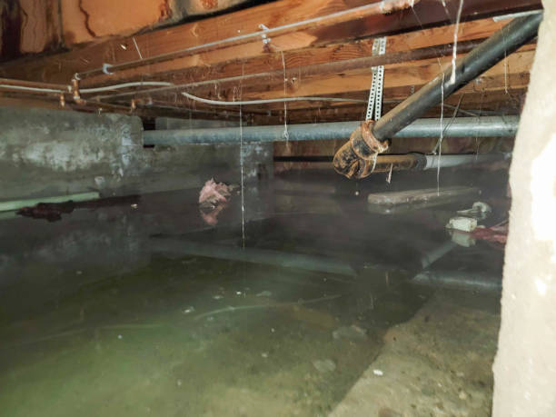 Water damage restoration process in Murphys, CA