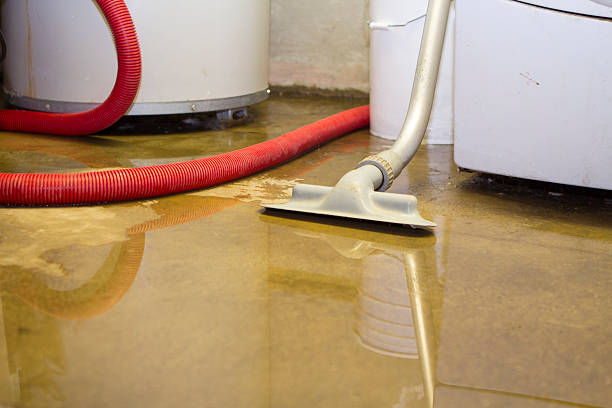 Best 24-hour water damage restoration  in Murphys, CA