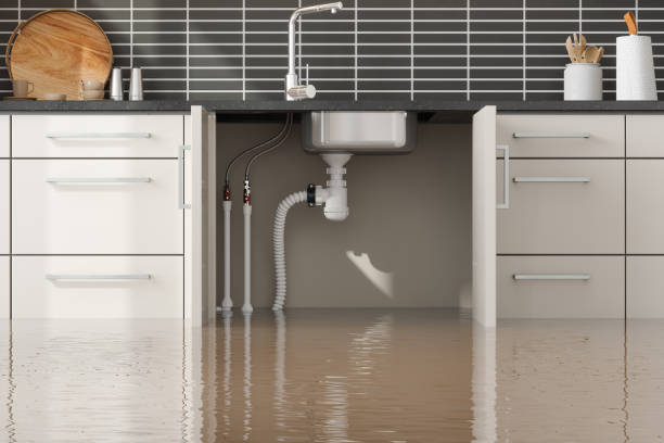 Best Water damage cleanup near me  in Murphys, CA