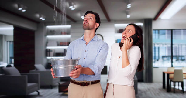 Best Water damage cleanup near me  in Murphys, CA